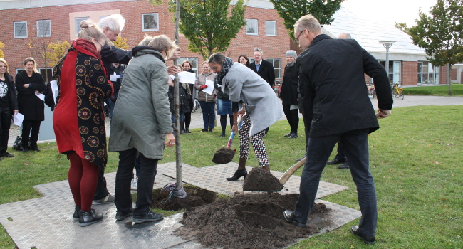 Aalborg Universitet plantede kvinde-eg