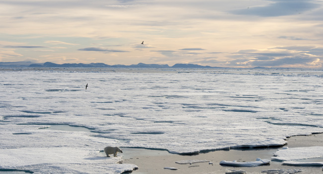 Juraforsker får opgave for FN’s klimapanel 