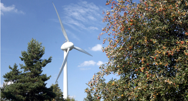 Forskernes 11 råd: Sådan øger vi opbakningen til grøn energi i baghaven