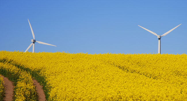 Forskerduo vil ud i verden med dansk energimodel